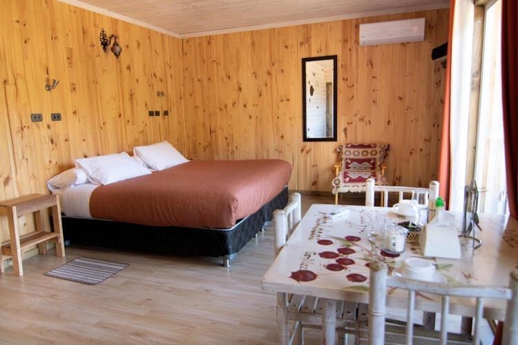 B&B Y Cabanas Cerro Castillo Вилья-Серро-Кастильо Экстерьер фото